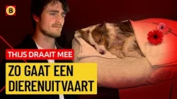 Saying Goodbye to Your Pet: "Because of the dog, I dare to go outside"