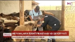 NAXÇIVANDA PİLOT LAYİHƏYƏ START VERİLİB