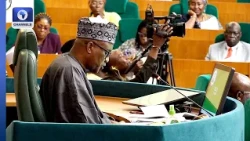 Xenophobia: Reps Move To Document Losses, Seek Compensation For Nigerians In South Africa