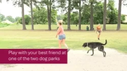 Park of the Month - Chesapeake City Park