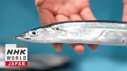 Sanma - Trails to Oishii Tokyo