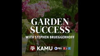 Garden Success – 6/18/2026: Q&A With Stephen Brueggerhoff