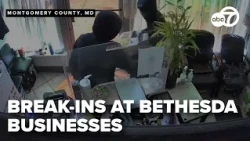 SEE IT: Surveillance video captures Bethesda business break-ins
