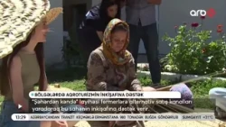 Lənkəranda aqroturizmin inkişafına dəstək